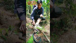 selamat pagi snake sorotan fypシ゚viral shorts sahabatalam youtube viralshort [upl. by Teressa39]