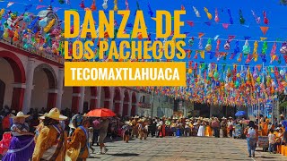 Danza De Los pachecos  rubios  Tecomaxtlahuaca 2024 [upl. by Clovah]