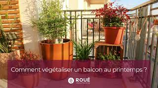 Comment végétaliser un balcon au printemps Roué Pépinières [upl. by Dralliw]