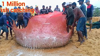 woow  😱😱 million 5k of catching fish  Unbelievable fishing video fishnegombo [upl. by Nevsa165]