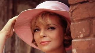 SECRET Photos amp Facts Of Barbara Bain [upl. by Yleak]