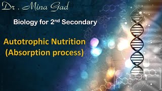 Autotrophic nutrition part 1  Biology for 2nd Secondary [upl. by Ennairac12]