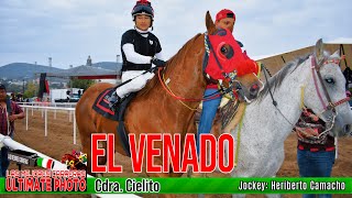 10Abierto Mexicano Stakes en 200 varas Venado [upl. by Htebaile]