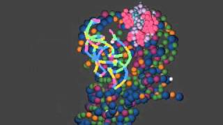 A Glimpse of the RNA World Ribozyme RNase P Bound with tRNA [upl. by Siegfried337]