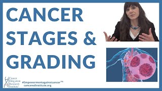 2  Grading of cancercancer stages  Cancer Education amp Research Institute [upl. by Francis537]