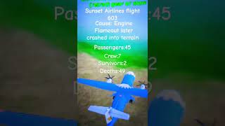 Sunset Airlines flight 603 Crash animation fictional flight aviation aviationlovers landing [upl. by Balkin]