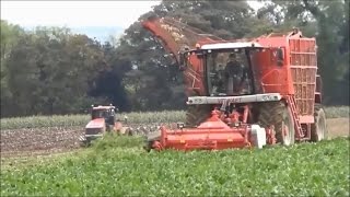 Vervaet Harvesting Sugar beet [upl. by Boone]