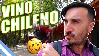 CHILENOS AFIRMAN TENER EL MEJOR VINO DE LA REGION🇨🇱🍷UN ARGENTINO LO PONE A PRUEBA [upl. by Enyledam]