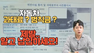 자동차 과태료와 범칙금 제발 알고 납입하세요 [upl. by Dowell]