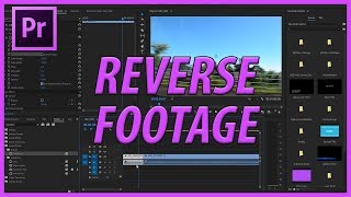 How to Reverse Footage in Adobe Premiere Pro CC 2017 [upl. by Bobinette]