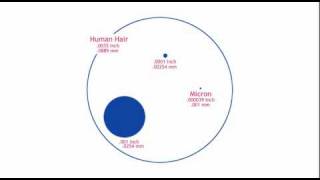 What filters do Puratap use [upl. by Saul]