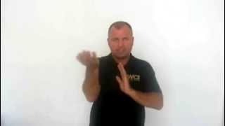 Wing Chun Hand Drills  Tan  Pak  Lap [upl. by Shanahan]