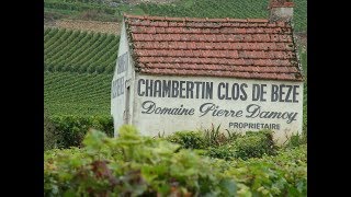 Gevrey Chambertin Grand Cru Premier Cru Villages [upl. by Aisekal773]