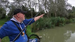 TRYING OUT THE NEW VAN DEN EYNDE PRO PELLET FEED AND THE MIDDY M3 GPULSE POLE [upl. by Akinal]