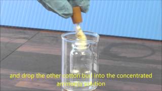 Ammonia amp HCl Diffusion Demonstration [upl. by Eirhtug]