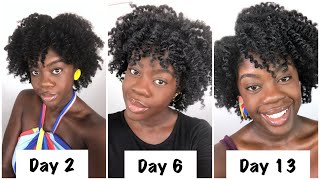 How to Maintain Twist Outs Overnight on 4C Hair for Two Weeks [upl. by Tila]