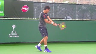 Kei Nishikori Backhand Slow Motion  ATP Tennis Backhand Technique  Two Handed Backhand in Tennis [upl. by Winton962]