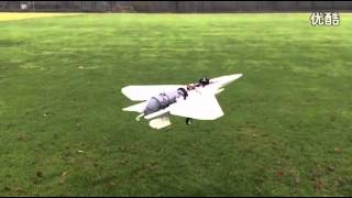 RC ducted fan Vertical takeoff and landing aircraft [upl. by Nosilla751]