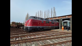 Besuch im Kulturlokschuppen Neumünster 30032024 modelrailroad deutschebundesbahn v200 [upl. by Larina]