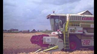 CLAAS 202 Drescher im EINSATZ [upl. by Nahsar]