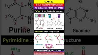 nitrogenous basebiomolecules biomleculespyqbiomolcules tricks [upl. by Beall]