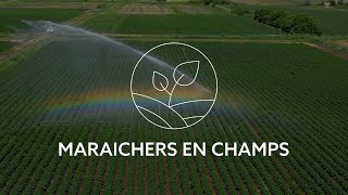 Maraîchers en champs  Dubois Agrinovation [upl. by Enelym]