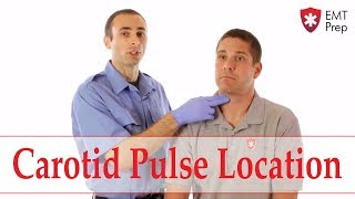 How to Find the Carotid Pulse  EMTprepcom [upl. by Korrie290]