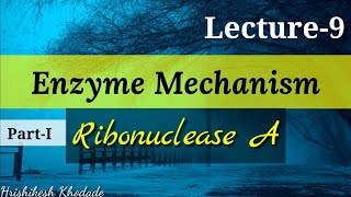 Lecture9  Enzyme Mechanism  Ribonuclease A Catalysis  Acid Base Catalysis type of Reaction [upl. by Asenev701]