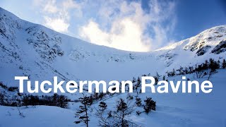 Skiing Tuckerman Ravine in February  Right Gully [upl. by Shererd643]