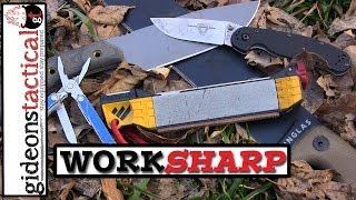 WorkSharp Field Sharpener 221 Buy It Now [upl. by Eiclud]