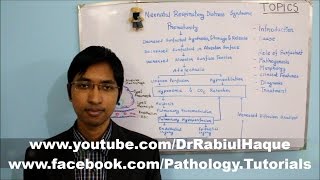 Neonatal Respiratory Distress Syndrome HD [upl. by Enelehs]