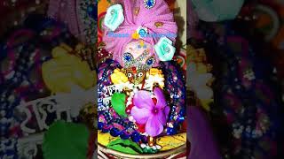 krishna kanhiya nandlala murlidhar mohan viralshorts2 please 👍 amp subscribe to my channel 🙏 [upl. by Grew251]