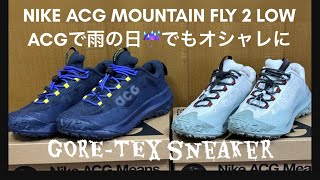 NIKE ACG MOUNTAIN FLY 2 LOW ゴアテックススニーカー NIKE acgas [upl. by Phionna750]