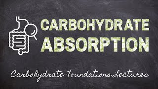 Carbohydrate Absorption Part 4 Carbohydrate Foundations  Macronutrients Lecture 50 [upl. by Eniar683]