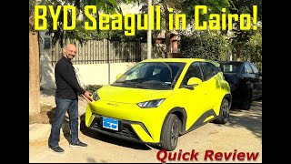 BYD Seagull Quick Review  Part 2 [upl. by Fanni]