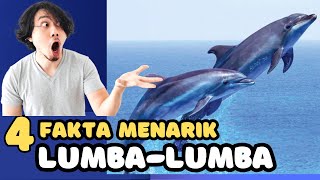 Fakta menarik ikan lumbalumba [upl. by Ahcarb]