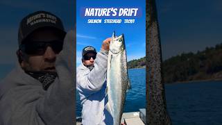 👑 King Salmon  the Puget Sound 👀 Vertical Jigging  Point Wilson Dart 🎯 Candlefish fishing [upl. by Hsihsa]