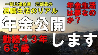 元部長の退職生活のリアル 年金公開します！勤続４３年６５歳 夢の年金生活は成るか？ [upl. by Eiralih621]