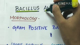 bacillus anthracis  microbiology handwritten notes [upl. by Palumbo]