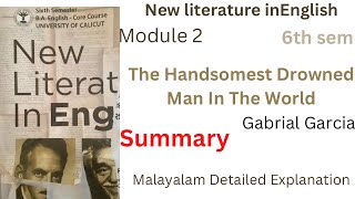 The handsomest drowned man in the world by gabriel garcia marquez summary in Malayalam 6th sem [upl. by Ennagroeg]