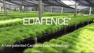 EDAFENCE® Technology Deschampsia antarctica ENGLISH [upl. by Anstice369]