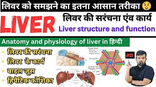 Liver Anatomy and Physiology  Function of Liver  Hepatic Cell  Bile Juice  Lobes of Liver [upl. by Mariana]