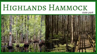 Highlands Hammock State Park [upl. by Ahsain]