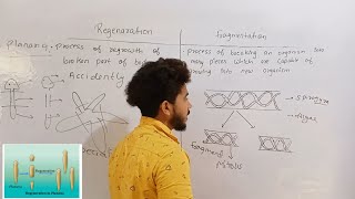 Difference between Regeneration and Fragmentation Class 10th Reproduction NCERT [upl. by Arreic479]