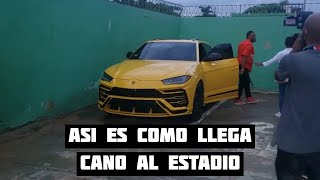 Asi son las llegadas de Robinson Cano a los Estadios de Beisbol en Republica Dominicana [upl. by Abita]