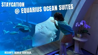 Staycation at Equarius Hotel Ocean Suites Singapore [upl. by Ihsar]