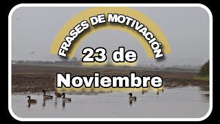 Frases de motivación 23 de Noviembre [upl. by Farrish]