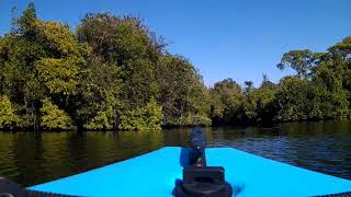 Judd Creek Park calusa blueway trail nice kayaking [upl. by Enamart]