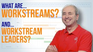 What is a Workstream And What is a Workstream Leader [upl. by Barsky]