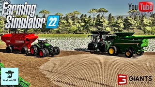 Ep31 Live Teste Fazenda Bandeirantes vertical Vida no Agro cammus racing simracing [upl. by Artkele177]